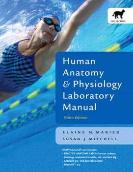Human Anatomy Physiology Lab Manual Cat Version Buy Human
