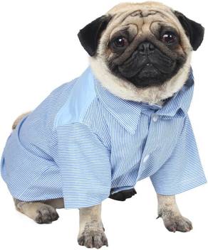 Douge Couture Shirt For Dog Cat Price In India Buy Douge
