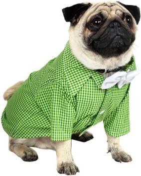 Douge Couture Shirt For Dog Cat Price In India Buy Douge