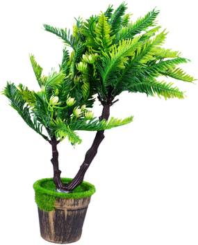 Yash Enterprises Bonsai Artificial Plant With Pot Price In India Buy Yash Enterprises Bonsai Artificial Plant With Pot Online At Flipkart Com