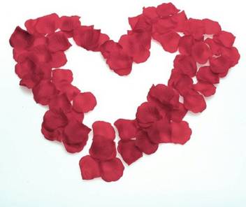 Shafire Red Rose Petals For Decoration Price In India Buy Shafire Red Rose Petals For Decoration Online At Flipkart Com