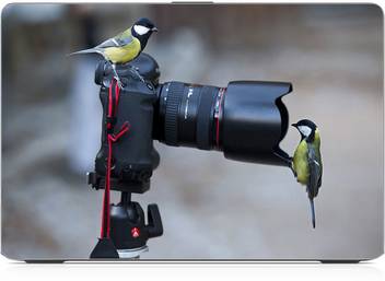 I Birds Radha Krishna Wallpaper Exclusive High Quality Laptop Decal Laptop Skin Sticker 15 6 Inch 15 X 10 Inch Ib 5k Skin 1831 Vinyl Laptop Decal 15 6 Price In India Buy I Birds Radha