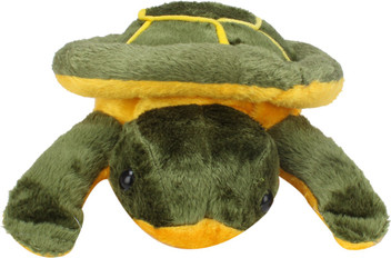 tortoise teddy