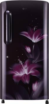 Lg 215 L Direct Cool Single Door 4 Star 2020 Refrigerator Online At Best Price In India Flipkart Com