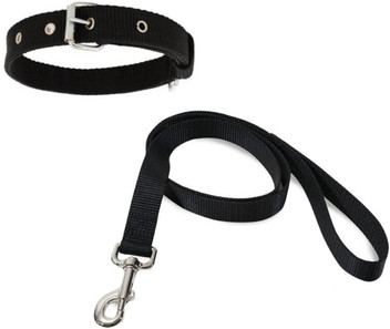 black dog leash