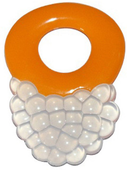 fruit teether age