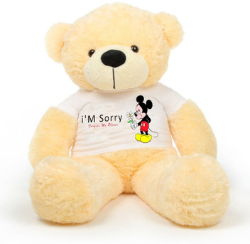 sorry with teddy bear