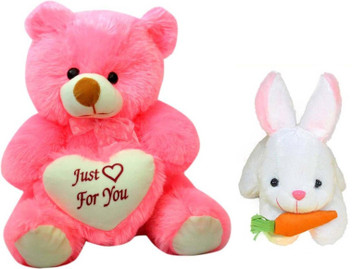 teddy bear combo offer