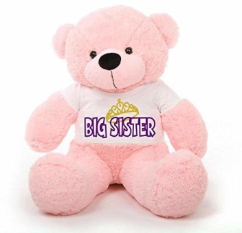 flipkart teddy bear big size