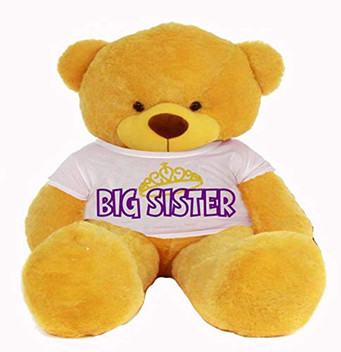 flipkart teddy bear big size