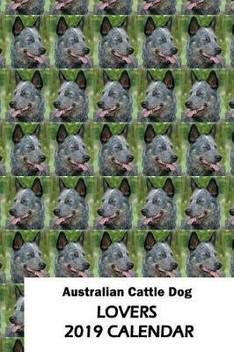 Australian Cattle Dog Lovers 2019 Calendar Buy Australian Cattle
