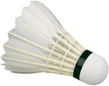 badminton shuttlecock flipkart