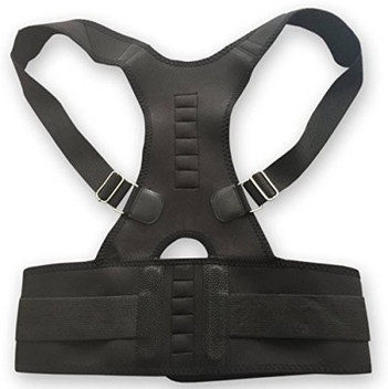 belt for backbone support
