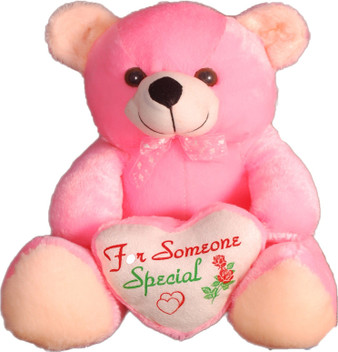 teddy special