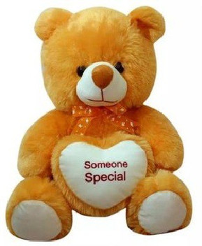 someone special teddy bear
