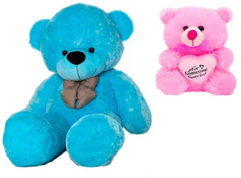 teddy bear combo offer