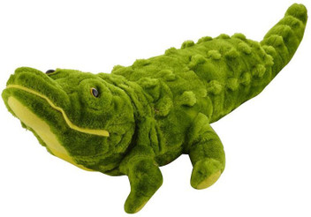 crocodile teddy
