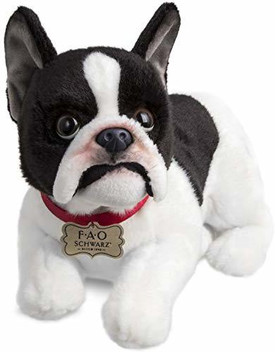 fao dog