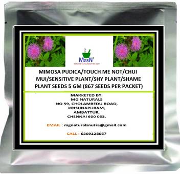 Mgbn Mimosa Pudica Touch Me Not Chui Mui Sensitive Plant Shy Plant Shame Plant Seeds 5 Gm Seed Price In India Buy Mgbn Mimosa Pudica Touch Me Not Chui Mui Sensitive Plant Shy Plant Shame Plant Seeds 5 Gm Seed Online