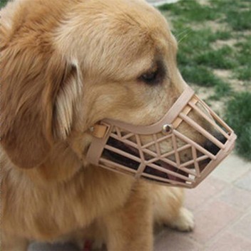 dog muzzle online