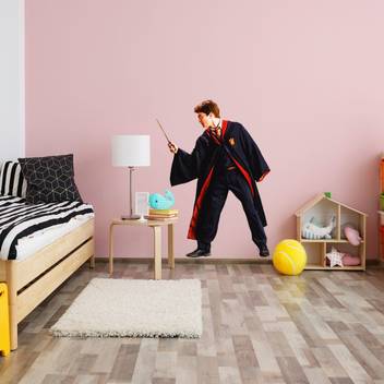 Spinn Decor Wall Decal Warner Bros Harry Potter Medium Self Adhesive Sticker In India At Flipkart Com - Harry Potter Wall Stickers India Spinn Decor Wall Decal Warner Bros Harry Potter Medium Self Adhesive Sticker In India At Flipkart Com - Harry Potter Wall Stickers India