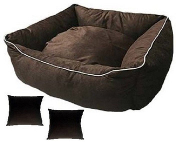 how to get your dog in the crate