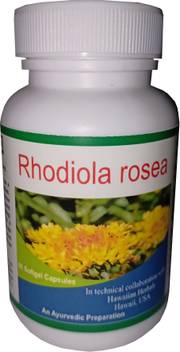 Hawaiian Herbal Rhodiola Rosea Capsule Price In India Buy Hawaiian Herbal Rhodiola Rosea Capsule Online At Flipkart Com
