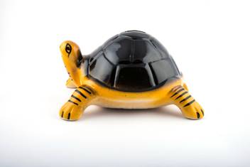 Ceramic Sellerzz Hand Made Tortoise Piggy Bank For Kids Coin Bank