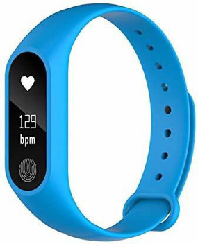 fitness band under 500 flipkart