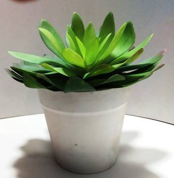 Sk Artificial Plant Bonsai Tree With Pot Sku 16 Green Pear Blossom Artificial Flower With Pot Price In India Buy Sk Artificial Plant Bonsai Tree With Pot Sku 16 Green Pear Blossom Artificial