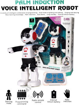 remote control robot flipkart