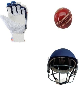 cricket helmet and gloves