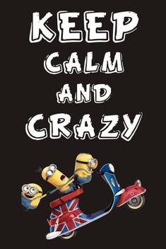 Funny Quote Poster For Wall Decoration Keep Calm And Crazy High Resolution 300 Gsm Glossy Matte Art Paper Print Decorative Posters In India Buy Art Film Design Movie Music Nature And
