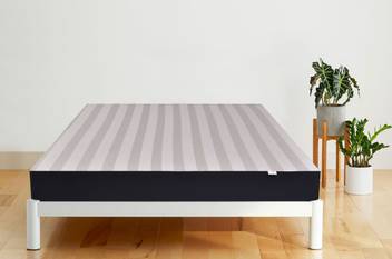 Springtek Dreamer 100% PURE 6 inch Queen Latex Foam Mattress