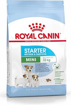 Royal Canin Royal Canin Mini Starter For Gestating Lactating Mother Dog Upto 2 Months Baby Dog 8 5 Kg Dry New Born Dog Food Price In India Buy Royal Canin Royal Canin