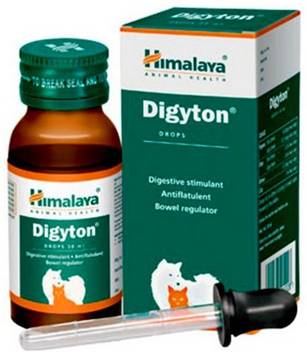 Himalaya Digyton Drops For Dogs Kittens Puppies Cats 30 Ml Pet Health Supplements Price In India Buy Himalaya Digyton Drops For Dogs Kittens Puppies Cats 30 Ml Pet Health