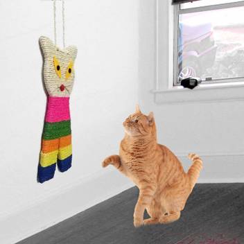 Jainsons Pet Products Cat Scratching Pad Price In India Buy