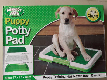 dog mat online
