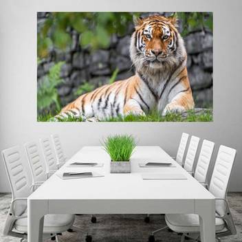 Zoo Tiger Wallpaper Poster No Framed Large Painting On Canvas Wall