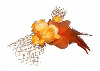 Raaya Feather Hair Clip For Women And Girls Hair Accessory Set