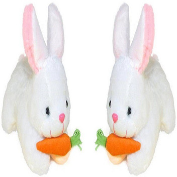 teddy carrot