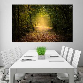 Autumn Forest 5k Wallpaper Poster No Framed Large Painting On