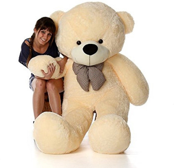 bada teddy bear
