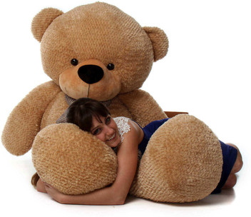 love bug teddy