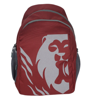 flipkart school bags boys