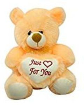 someone special teddy bear