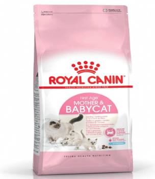 Rc Mother Baby Cat 34 Food For Mother Cats Young Kittens 2 Kg