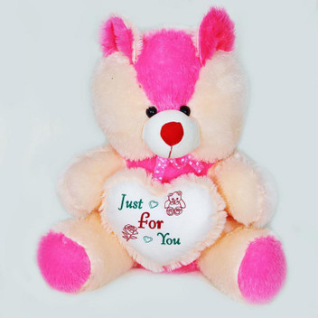 just for you teddy bear
