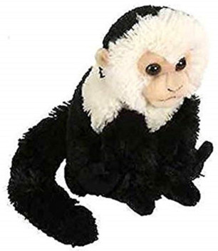 capuchin stuffed animal