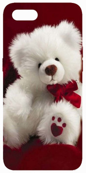 girl and teddy